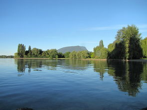 逆境中的坚持，揭开惨淡经营的面纱