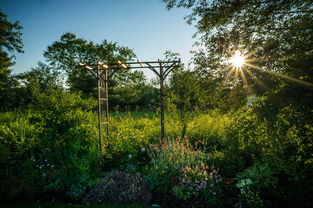 约会大作战手游，深入探索与攻略指南