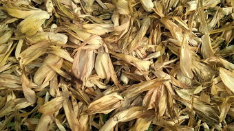 今日焦点，全球新闻头条速览