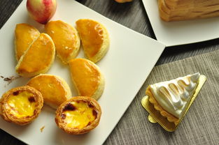 郑钦文晋级东京站四强，书写网球新篇章