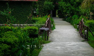 探秘南粤深处，醉美清远清新——体验温泉度假村的悠闲与浪漫