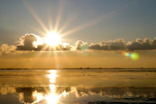 永夜星河团综闪耀的恒星定档，一场海岛奇遇的浪漫启程