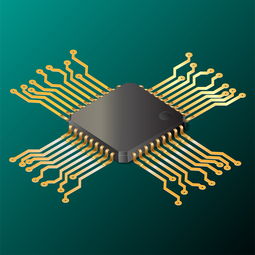 美将公布新的芯片出口限制？中方回应，坚决维护企业权益