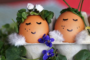 揭秘时间的小魔法，煮鸡蛋的精准计时艺术