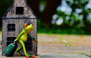 厨房里的时光银行，揭秘家庭自制咸蛋的土办法与乐趣