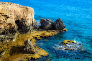 生杀大权，理解生命伦理与决策的复杂性