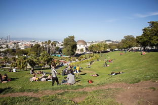 华南植物园探索之旅，走进自然的绿色宝库