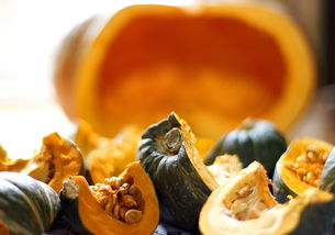 木马清道夫，网络安全的隐形守护者