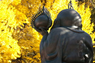 探索日本的梦幻之旅，一探那些让人着迷的文化宝藏