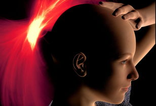 深度解析，如何高效使用安能物流单号查询系统