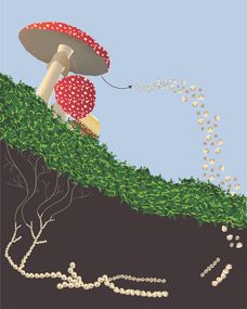 变异毒株，病毒的变身术与我们的应对之道