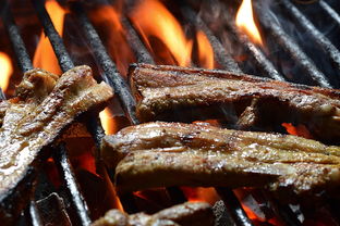 侠盗飞车，圣地安列斯—自由与冒险的虚拟世界