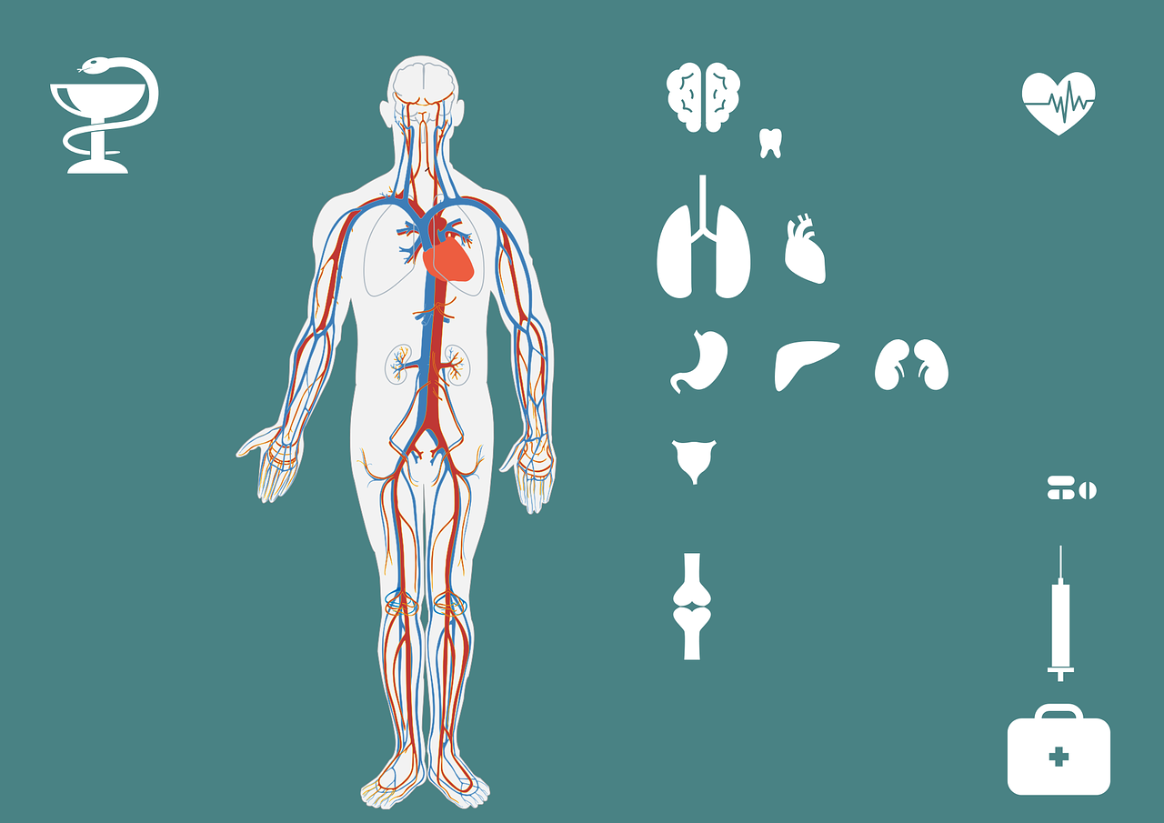 北京新风向，隔离管理措施的精细调整，守护健康更贴心