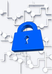 安全教育平台，如何安全高效地登录与使用