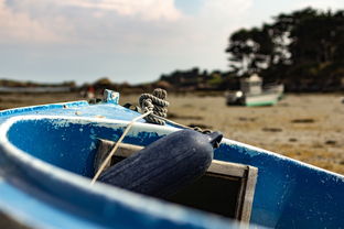 北京疫情新动态，78例本土感染者背后的防疫挑战与应对策略