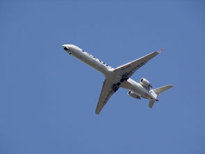 广州疫情最新动态，防控措施与日常生活指南