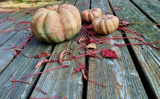 天津疫情新动态，新增病例的应对与防控策略