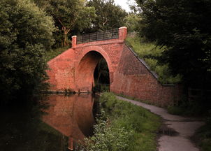 口袋妖怪白金，全面攻略指南，助你成为宝可梦大师