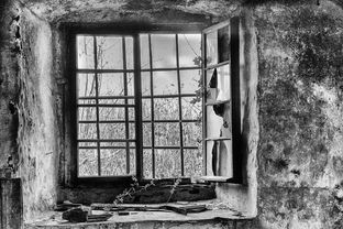 上海疫情新动态，防控措施、影响及未来展望