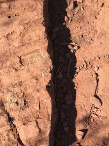 探索无限可能，我的世界地球，连接现实与虚拟的桥梁