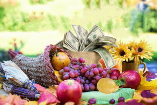 探索味蕾之旅，不可错过的十大美食推荐