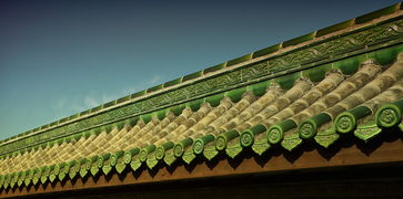 上海疫情最新动态，本土确诊5例，无症状78例，市民生活与防疫措施全解析