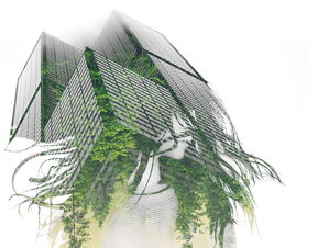 武汉，江城的韵味与现代的融合—探索这座英雄城市的独特魅力