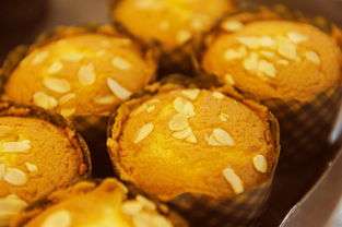 内蒙古疫情再起波澜，新增8例本土确诊，防控措施升级