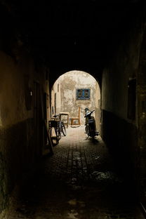 A Culinary Journey Through Hohhot:Exploring the Flavors of Inner Mongolia