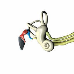 甘肃疫情动态，深入解读最新数据与防控措施