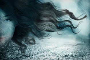 咒怨，诅咒之家的恐怖真相