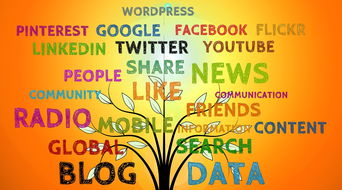 美食图片的艺术，如何通过标签提升你的社交媒体影响力