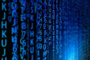 乌鲁木齐疫情最新动态，防控措施、病例数据与未来展望