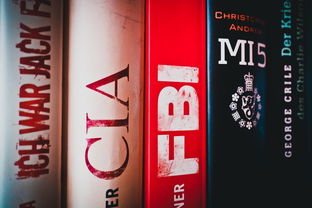 探索味蕾的奥秘，美食推文范文500字