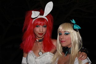 剑侠情缘三，江湖中的爱恨情仇与游戏世界的深度探索