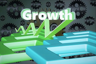 万达电影网，中国电影产业的数字化转型与未来展望