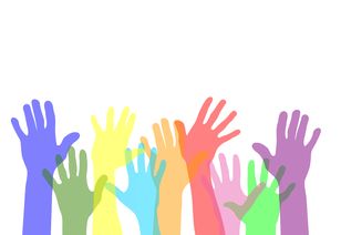 味蕾之旅，朋友圈里的美味分享，让你的每一天都充满惊喜