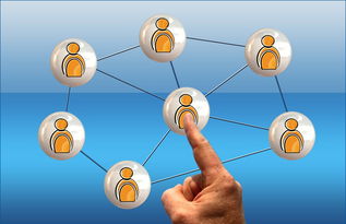 深入了解限号政策，如何查询今天限号多少？