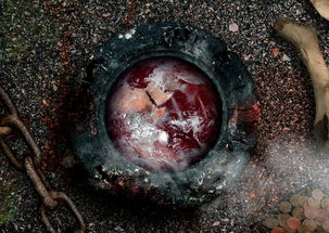 地球末日生存，人类如何在灾难面前自救与重建文明