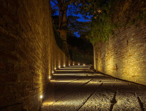 超级大坏蛋，揭秘那些历史上臭名昭著的恶人