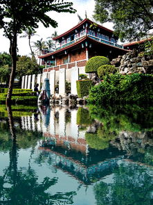 杭州一日游，西湖美景与文化探索之旅