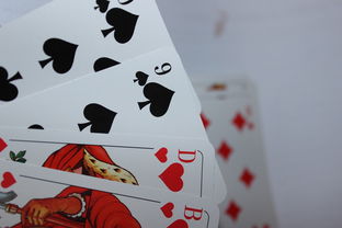 真人脱衣麻将2代，游戏与文化的交融