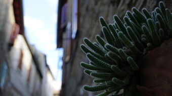 永辉超市，今日财经新动态，家门口的超市如何影响你的钱包？