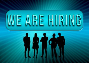 揭秘新闻头条赚钱软件，真相、机遇与风险