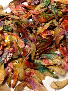 制作美食推荐卡，让味蕾与创意共舞的艺术