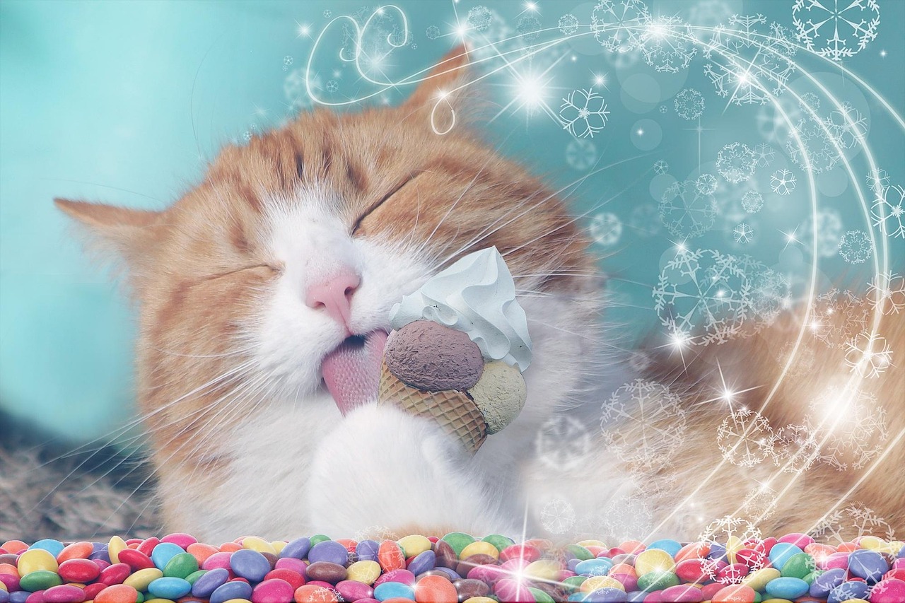 丢了猫千万别找，宠物失踪背后的心理与行为学