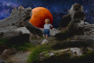 月圆之夜上锁的日记，揭开心灵深处的秘密