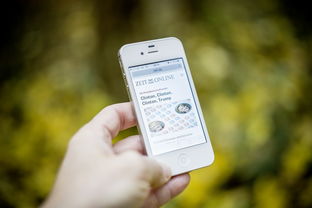 掌中世界，新闻尽在掌握，揭秘最佳手机新闻应用