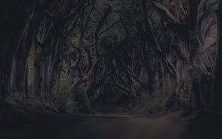 魔兽争霸3，揭秘游戏秘籍背后的历史与技巧