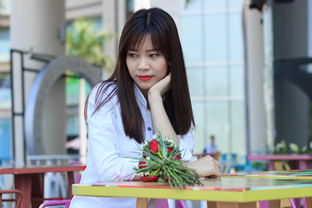 半是蜜糖半是伤，爱情与现实的交织